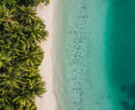 Viaggio Maldive Spiaggia con Palme