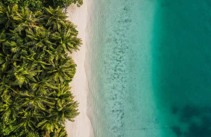 Viaggio Maldive Spiaggia con Palme