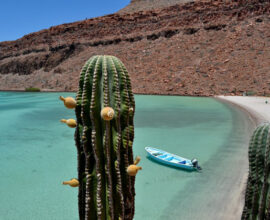 Viaggio-Messico-Baja-Califonia-mare-e-cactus