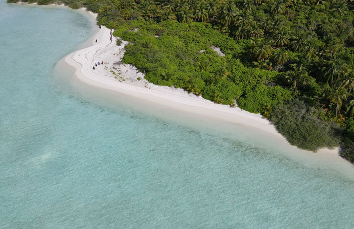 viaggio-maldive-spiaggia-alberi