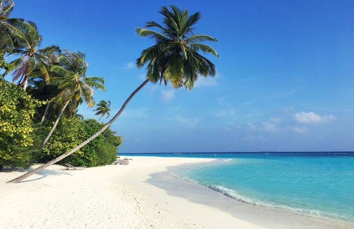 viaggio-alle-maldive-palma