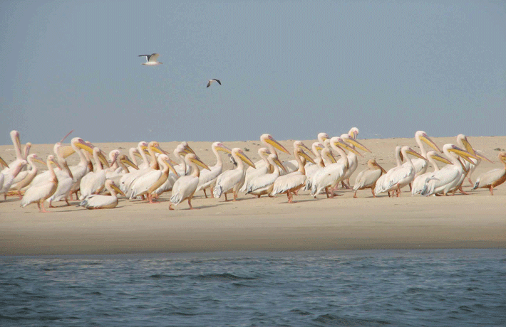 VIAGGIO-IN-SENEGAL-LANGUE