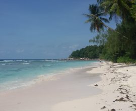 viaggio alle Seychelles, La Digue, Anse Severe 1