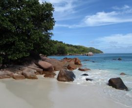 viaggio alle Seychelles, Praslin, Anse Lazio 1