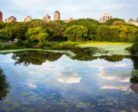 viaggio-a-new-york-central-park