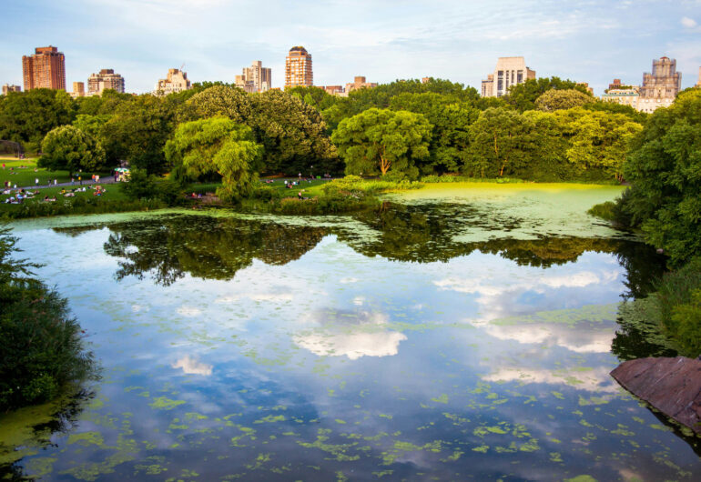 viaggio-a-new-york-central-park