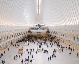 viaggio-a-new-york-oculus