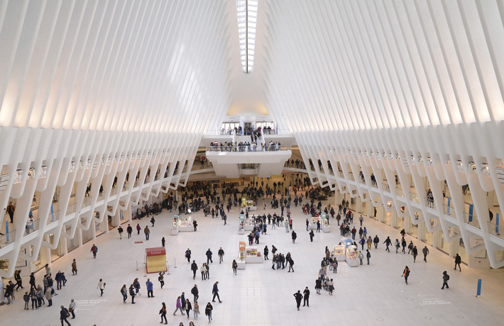 viaggio-a-new-york-oculus