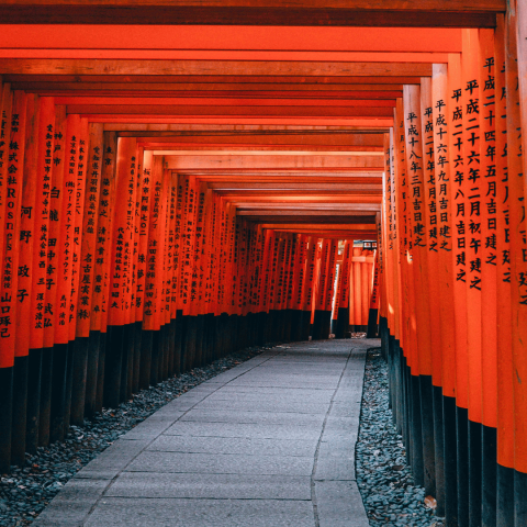 viaggio-giappone-fushimi-inari-kyoto