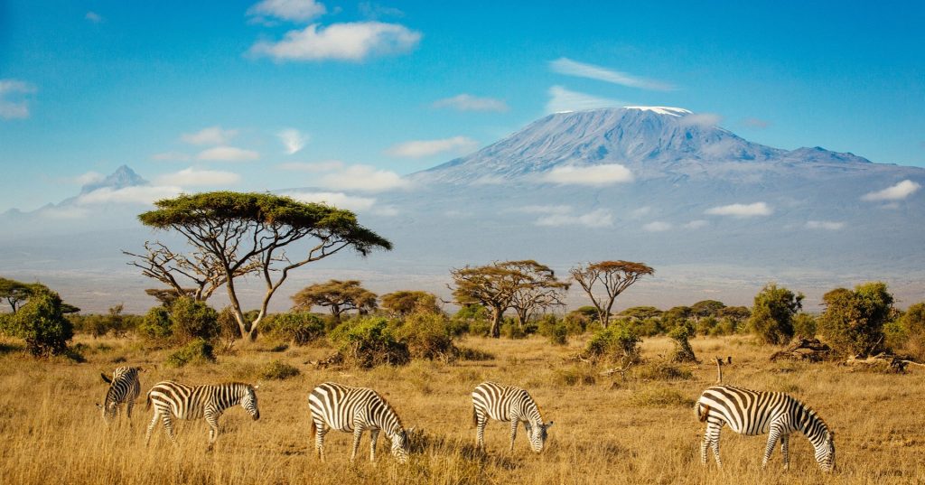 viaggio in Kenya