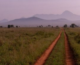 Kenya-taita-hills