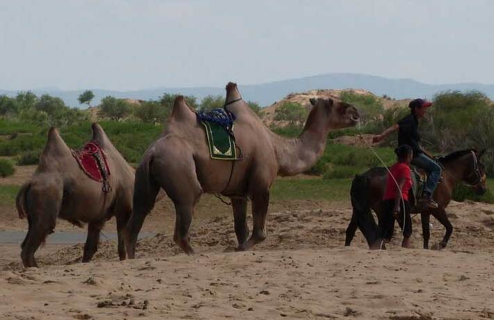 viaggio in mongolia