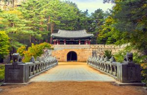 corea-del-sud-tempio-foresta