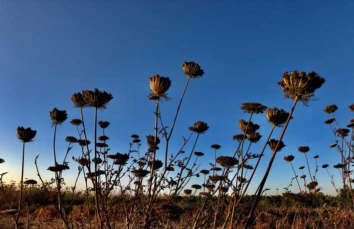 viaggio a pantelleria