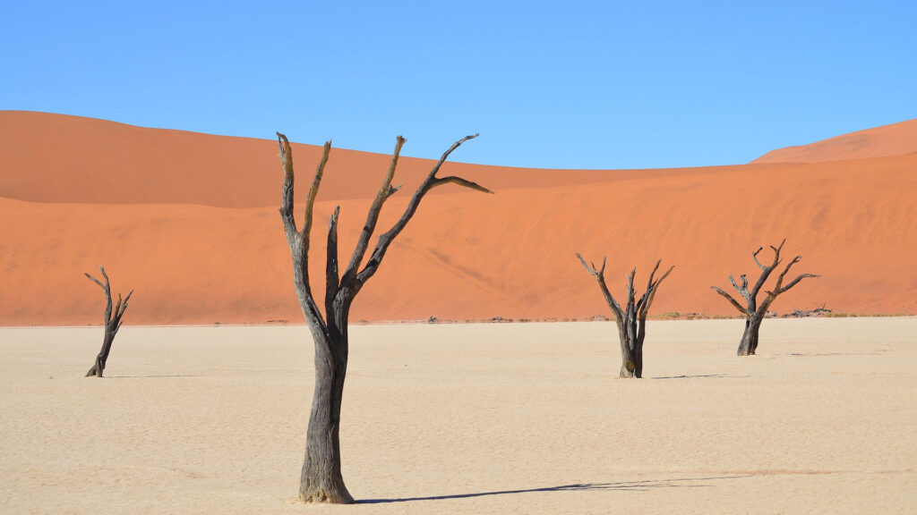 viaggio in NAMIBIA