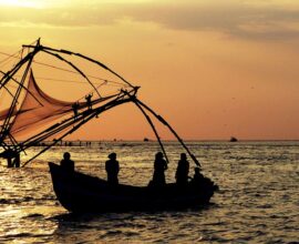 viaggio in india del sud cochin