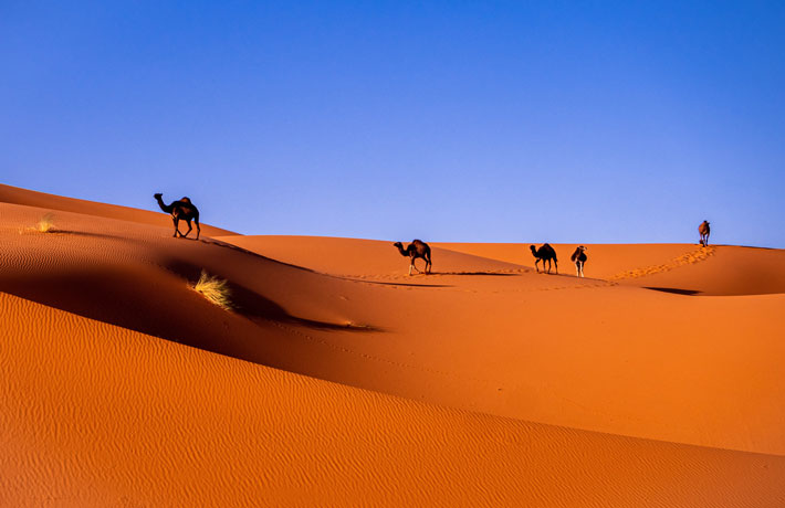 viaggio-in-marocco