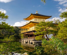 viaggio-in-giappone-maggio