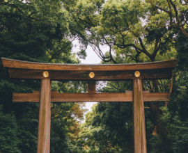viaggio-giappone-tokyo-meiji-jingu