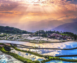 viaggio-in-yunnan-e-laos-risaie