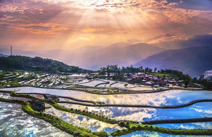 viaggio-in-yunnan-e-laos-risaie