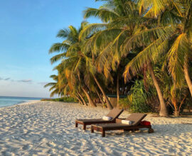 viaggio alle maldive 16 febbraio spiaggia palme