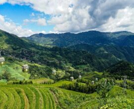 iaggio-in-cina-con-guilin-risaie