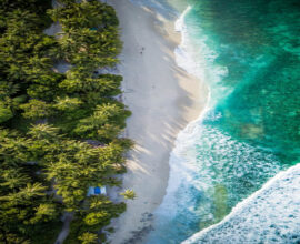 viaggio alle maldive 16 febbraio natura