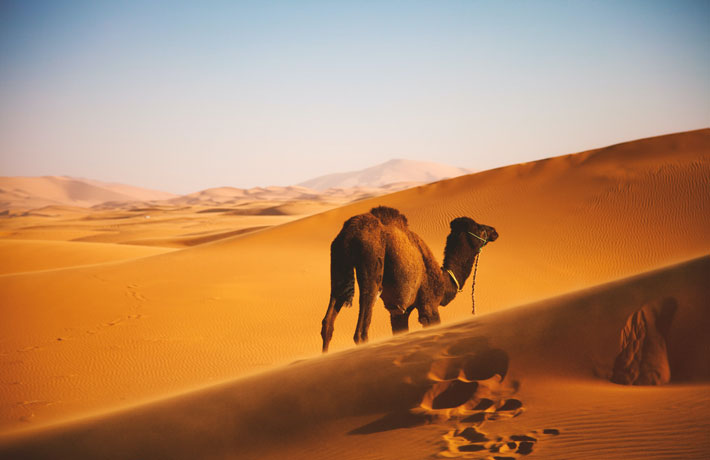 viaggio-marocco-erg-chebbi-deserto