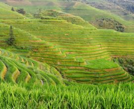 viaggio-in-cina-guilin