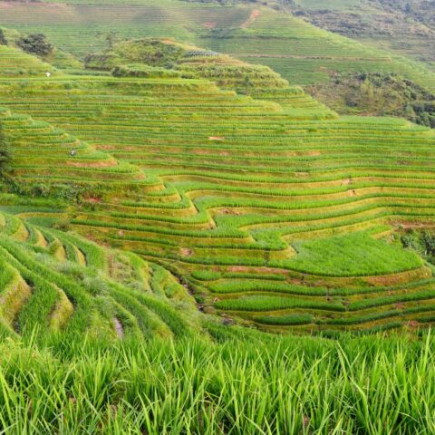 viaggio-in-cina-guilin