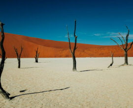 viaggio-in-namibia-namib-desert