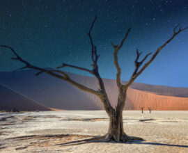 viaggio-in-namibia-namib-desert-notte