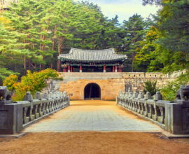 corea-del-sud-tempio-foresta