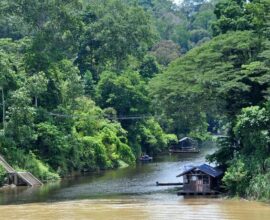 viaggio-in-malesia-taman-negara