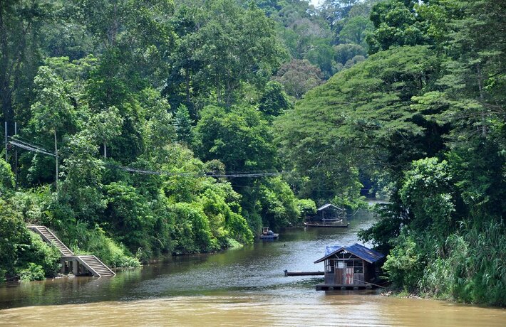 viaggio-in-malesia-taman-negara