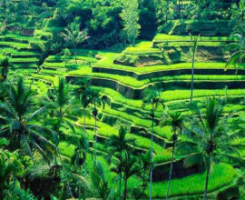 viaggio-indonesia-ubud