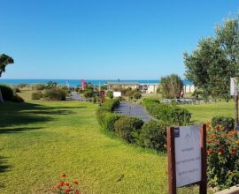 viale-verso-la-spiaggia