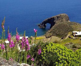 viaggio-sicilia-scogliera