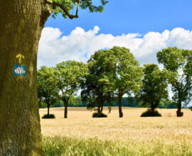 grandtour portogallo con santiago-santiago-de-compostela