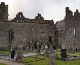 viaggio in Irlanda Limerick