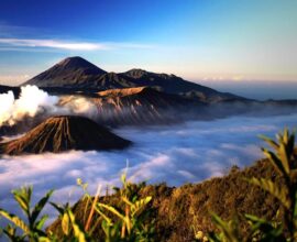 viaggio in indonesia copertina