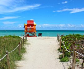 viaggio a miami copertina