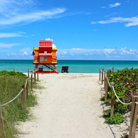 viaggio a miami