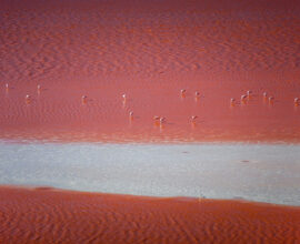 viaggio-bolivia-laguna-colorada