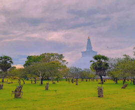 viaggio-in-sri-lanka-panorama