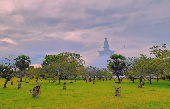 viaggio-in-sri-lanka-panorama