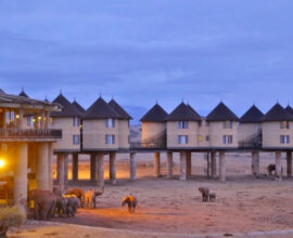 viaggio-kenya-salt-lick-lodge