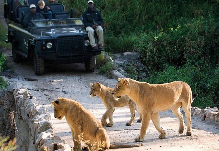 viaggio in Sudafrica-kruger