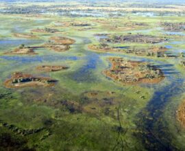 botswana-delta-sito